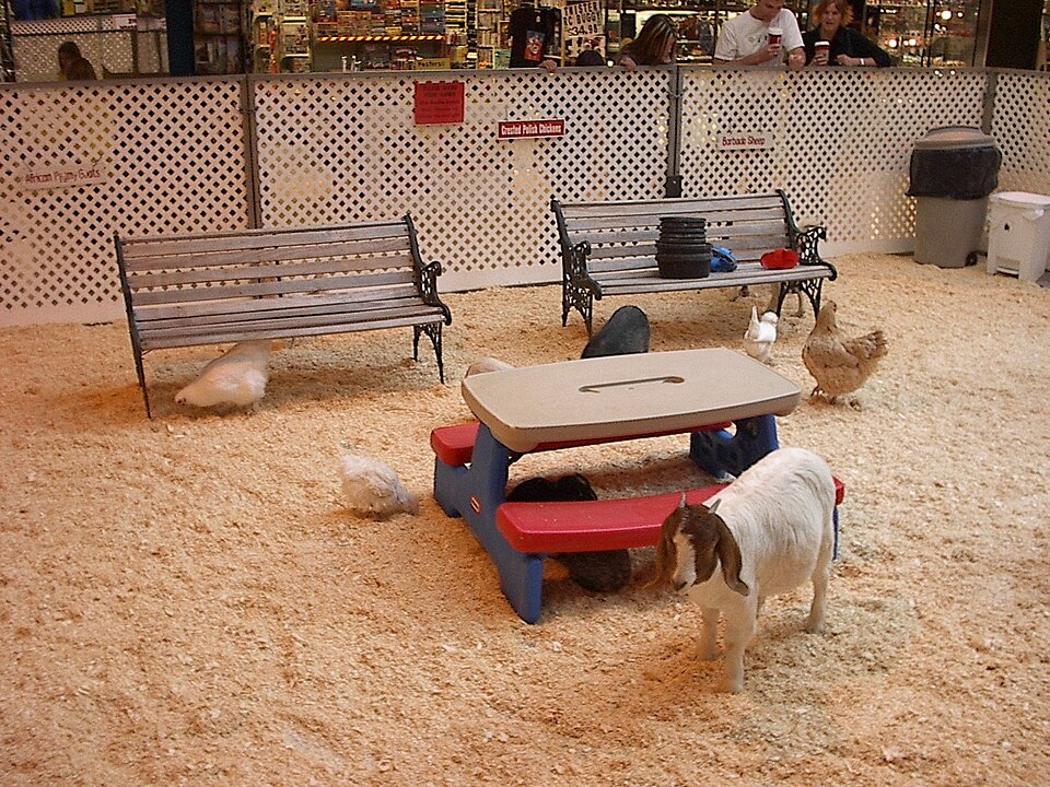 Kinderboerderij “Kleine Artis”