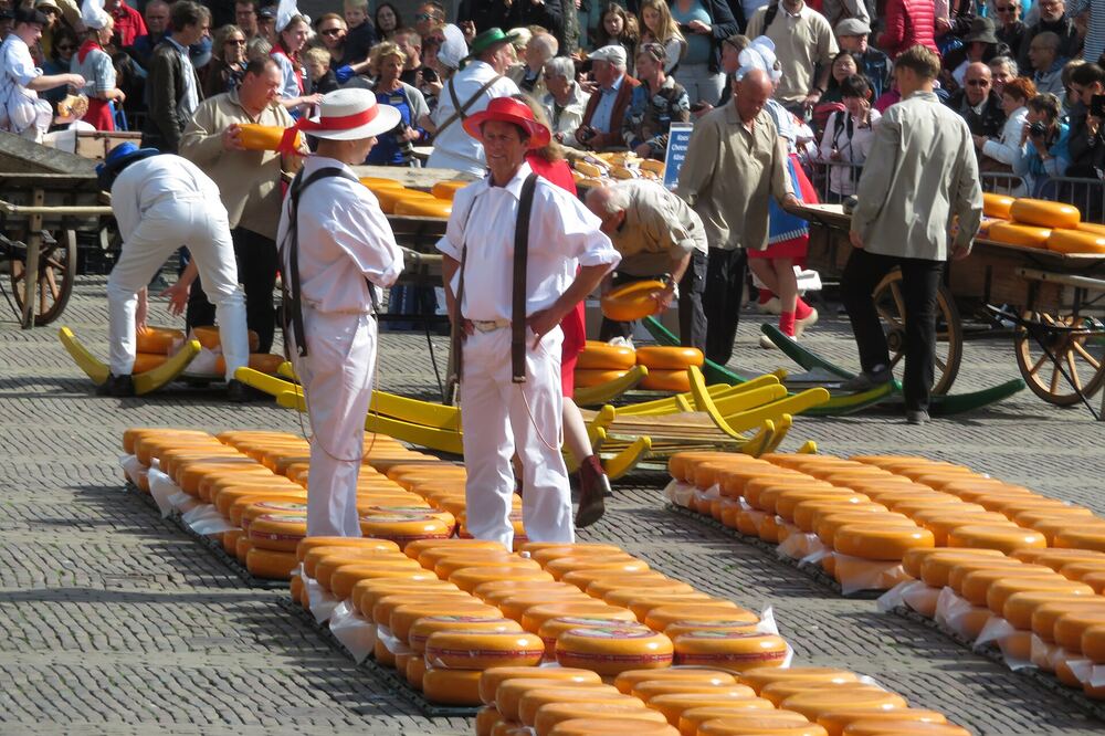 Kaasdragers met een berrie vol kazen op de Alkmaarse kaasmarkt, met publiek eromheen