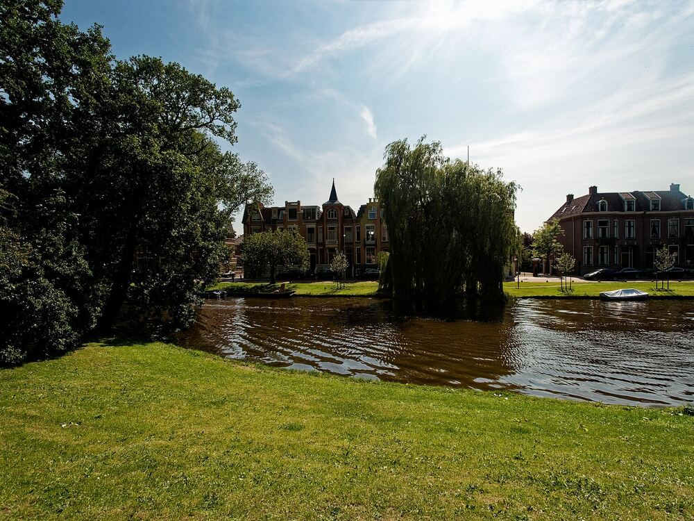 Gras, een treurwilg en water in het Kennemerpark in Alkmaar