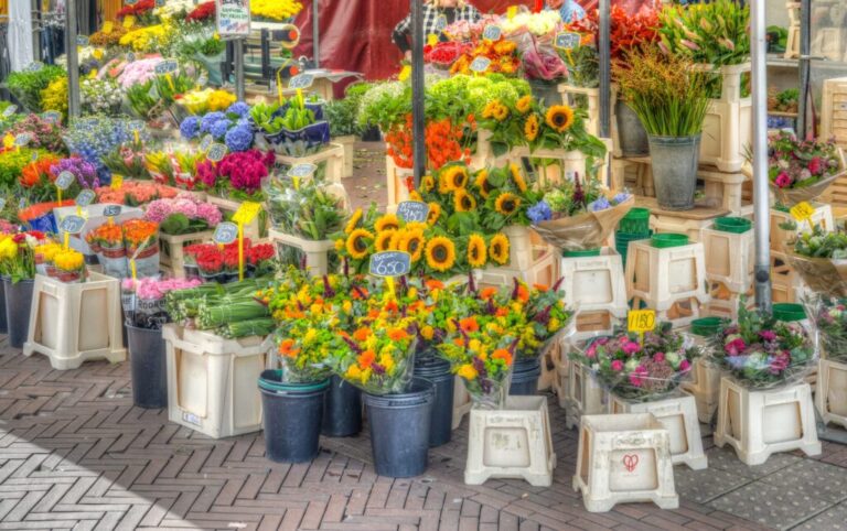 Oogst- en Pompoenfair 2026 — Braderie en jaarmarkt in Alkmaar
