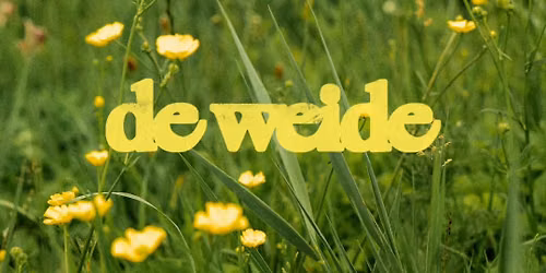 De Weide Festival 2027 — Muziek in Alkmaar