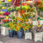 Oogst- en Pompoenfair