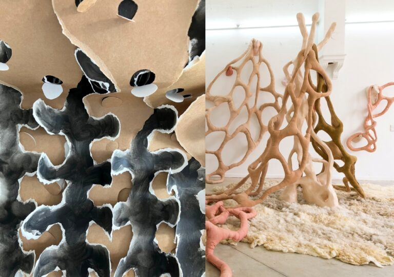 Expositie Dwaalland – Jacqueline Kooter & Tara Kuijpers Wentink — museum-expo in Alkmaar
