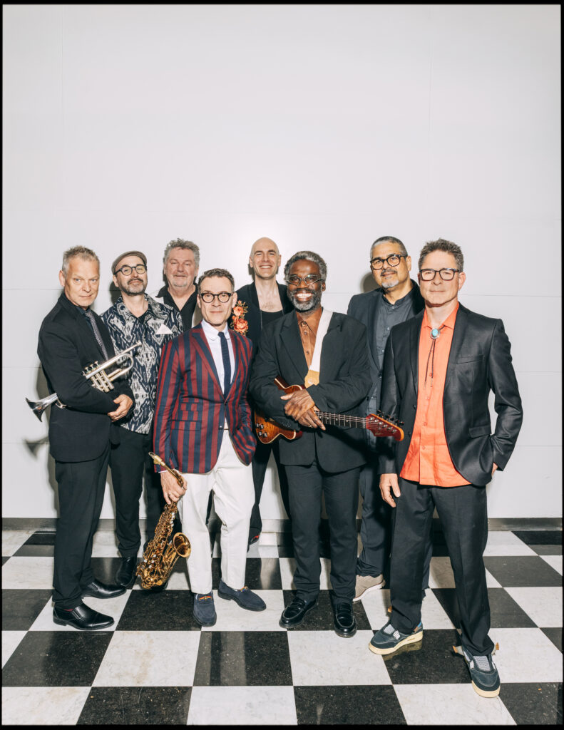 New Cool Collective in Alkmaar