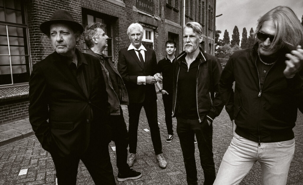 Tröckener Kecks in Alkmaar